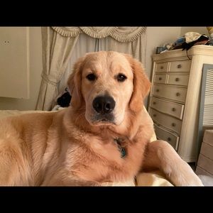 Meet your Posher, Donna